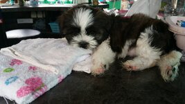 20150627_161430.jpg