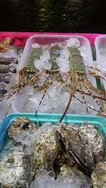 20150712_201546.jpg