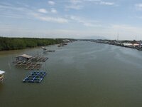 k-P7260389.JPG
