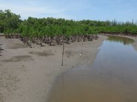 k-P7260467.JPG