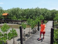 k-P7260470.JPG
