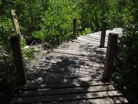 k-P7260503.JPG