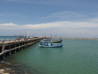 k-P7260563.JPG