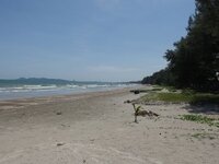 k-P7260573.JPG