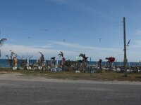k-P7260578.JPG