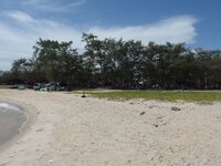 k-P7260586.JPG