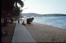 pattaya_1977.jpg pattaya_1977.jpg