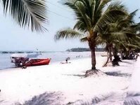 1975beach_1400.jpg 1975beach_1400.jpg