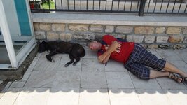 downloadfile-5.jpg