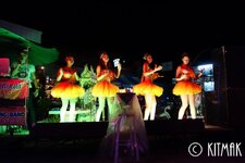 K1600_DSC08875.JPG
