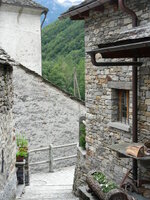 22925679by.jpg