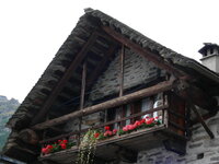 22925771te.jpg