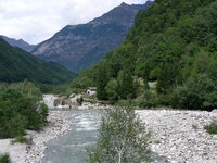 22927712nf.jpg