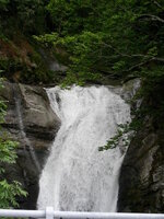22927808yv.jpg