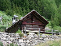 22939534ci.jpg
