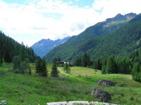 22939850sj.jpg