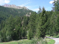 22939916ei.jpg