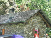 22941994sg.jpg