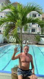 Fred2`s Palme.JPG