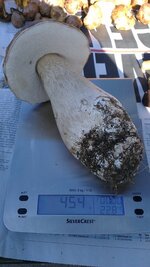 2013-10-01 11.31.47.jpg
