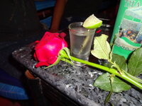 DSC04579.JPG