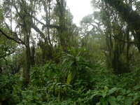 P1300006.JPG