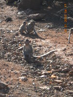 DSCN1713.JPG