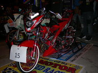 23496773it.jpg