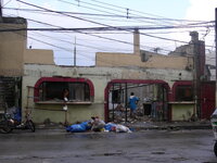 23496964gv.jpg