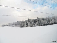 IMG_1218.JPG