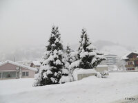 IMG_1276.JPG