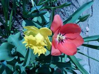 dscn0079.jpg