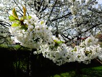 dsc06899001.jpg
