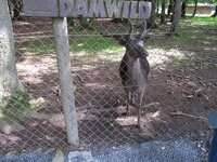 k-img_0023_445383.jpg