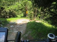 IMG_5985.JPG