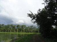 Khlong Yai 102.JPG