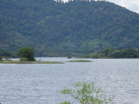 Trat nach Chantaburi 061.JPG
