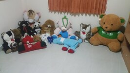 20150310_185506.jpg