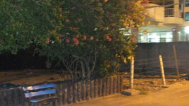 DSCF4708.JPG
