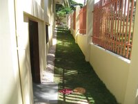 Bohol-2784.jpg