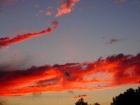 dsc03417001.jpg