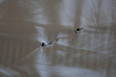 23699294ih.jpg 23699294ih.jpg