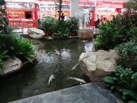 korat 20.11.15 013.JPG