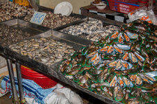 23703647sy.jpg 23703647sy.jpg