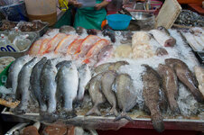 23703648ez.jpg 23703648ez.jpg