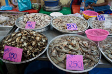 23703649yx.jpg 23703649yx.jpg