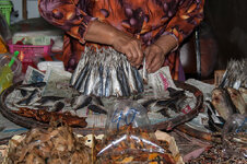 23703657cz.jpg 23703657cz.jpg