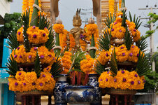 23711040cc.jpg 23711040cc.jpg