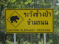 surin khon kaen lom sak 019.JPG