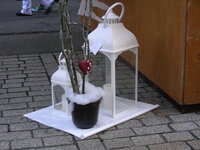 23957524aj.jpg